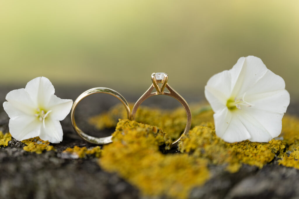 Gold moissanite engagement ring with a solitaire setting and matching wedding band, elegantly placed on a moss-covered surface with white flowers, symbolizing natural beauty and timeless love.