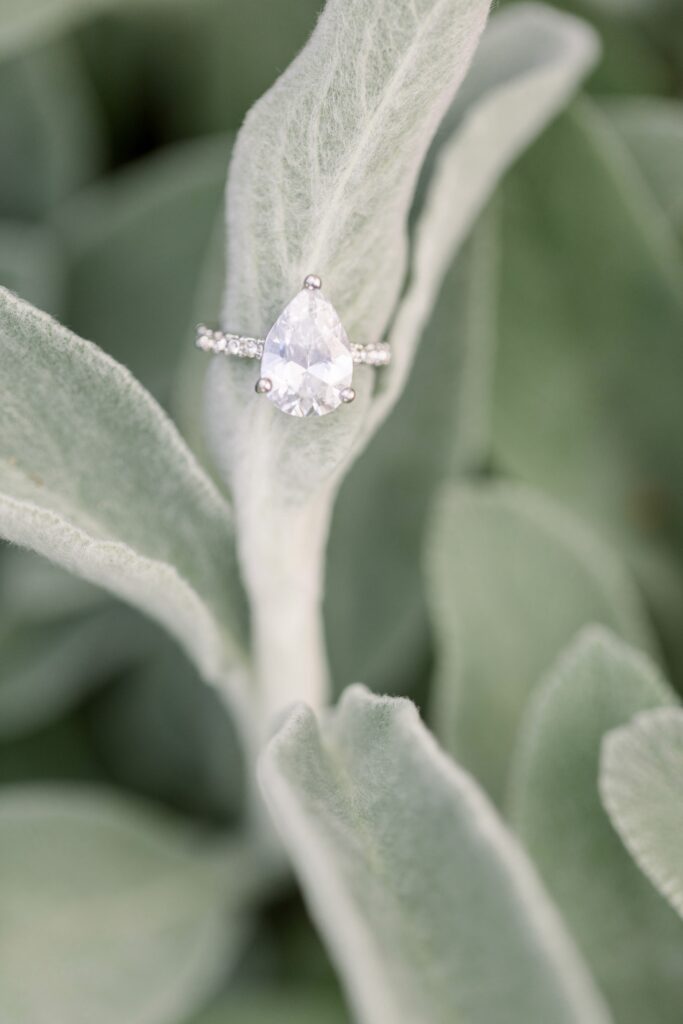 Pear-shaped moissanite engagement ring with a pavé band, elegantly displayed on a soft, green succulent leaf, highlighting its brilliance and eco-friendly charm.