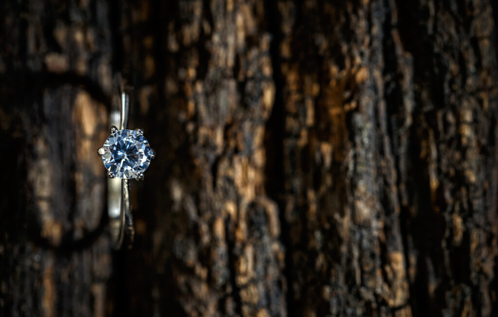 Round brilliant-cut moissanite solitaire engagement ring set in a silver band, elegantly displayed against a textured tree bark background, highlighting its brilliance and natural contrast.