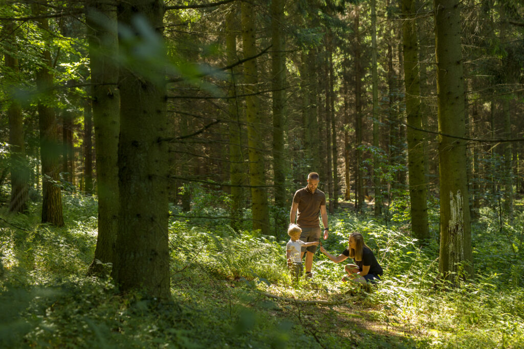 Young family enjoying a nature walk in a lush green forest, with sunlight filtering through the trees, capturing a peaceful and eco-friendly outdoor moment.